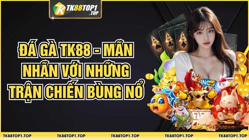 Đá Gà TK88 - Mãn Nhãn Với Những Trận Chiến Bùng Nổ