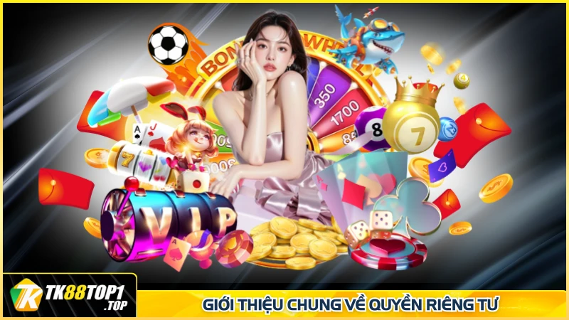 Giới thiệu chung về quyền riêng tư