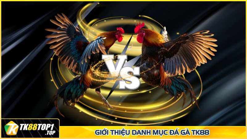 Giới thiệu danh mục đá gà TK88