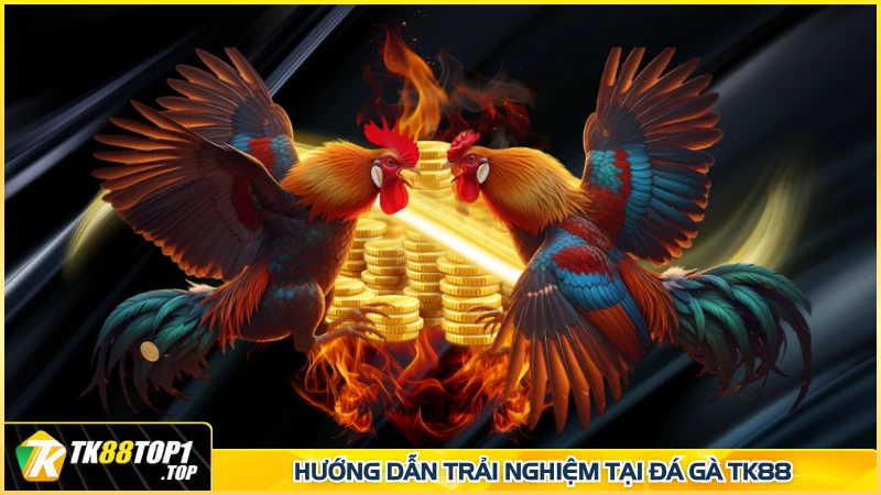 Hướng dẫn trải nghiệm tại đá gà TK88